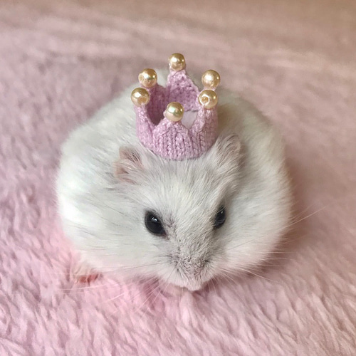 レア♡レトロ　ピクニックワールド　ハムスター　ぬいぐるみ　マスコット ニコぬいキーホルダー ハムスター ぬいぐるみ マスコット
