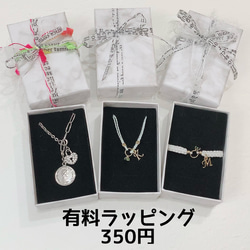 ダブル 誕生石 & イニシャル バーティカル カスタム ネックレス sp2699-x_top3.jpg
