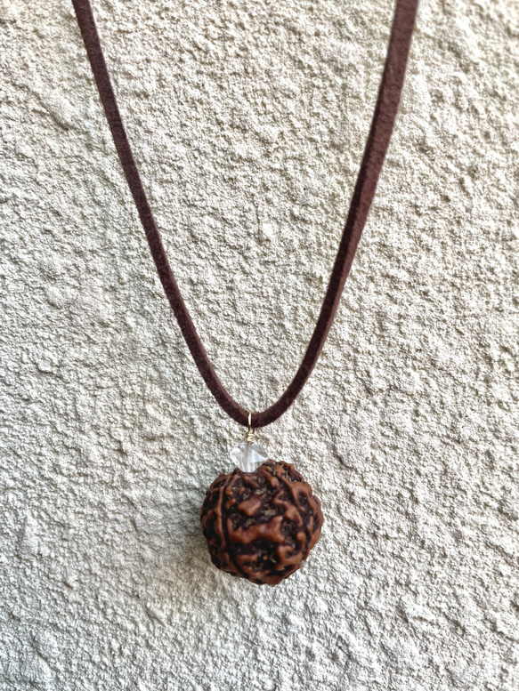 選べる天然石 完全浄化済み・奇跡をもたらす不思議な実・ルドラクシャ