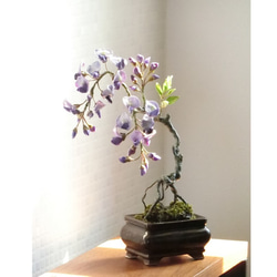 ✿【 粘土置物 】酒豪の花木？「眺めるだけで酔いしれて」紫藤の盆栽仕立て ／ アメジスト色の重厚な魅力 12枚目の画像