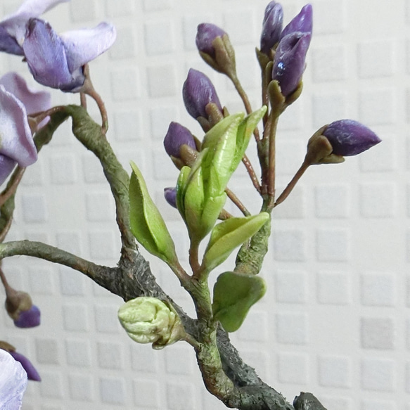 ✿【 粘土置物 】酒豪の花木？「眺めるだけで酔いしれて」紫藤の盆栽仕立て ／ アメジスト色の重厚な魅力 8枚目の画像