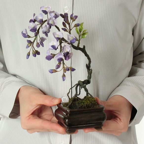 ✿【 粘土置物 】酒豪の花木？「眺めるだけで酔いしれて」紫藤の盆栽仕立て ／ アメジスト色の重厚な魅力 11枚目の画像