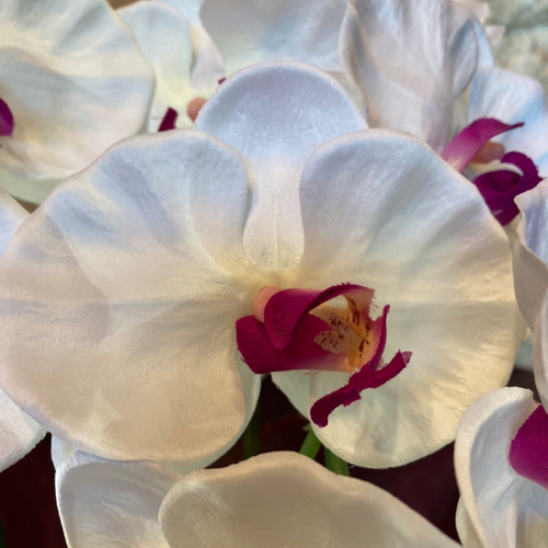 光触媒 人工観葉植物 ウォールグリーン フェイクグリーン 胡蝶蘭8155