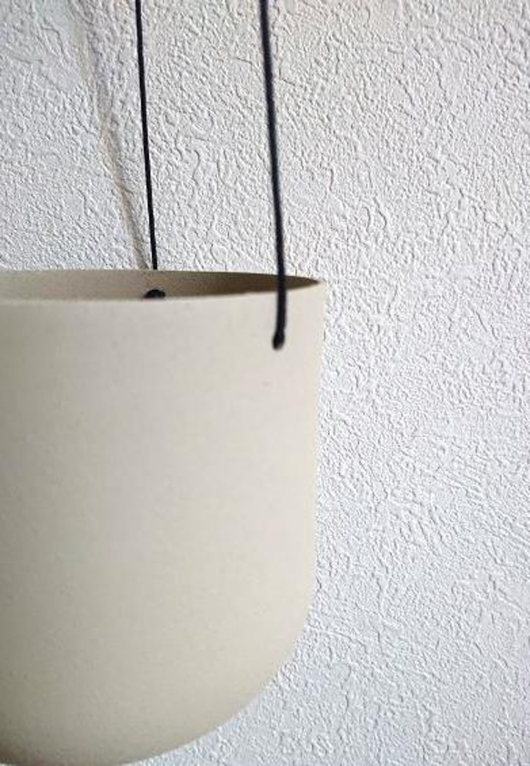 ●数量限定●”ペペロミア　セルペンス/大きめ　斑入り　ハンギング鉢カバーセット"　観葉植物　多肉植物　壁掛け 10枚目の画像
