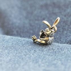 兔子 • 不輕易的來 rabbit stranger —銅銀 複合材質初版 第8張的照片