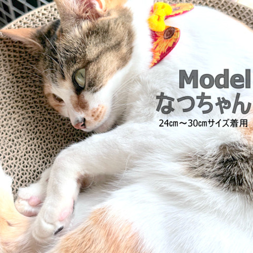 太陽のひまわり！燦燦と輝くネコちゃんまるえり首輪 リード・首輪  