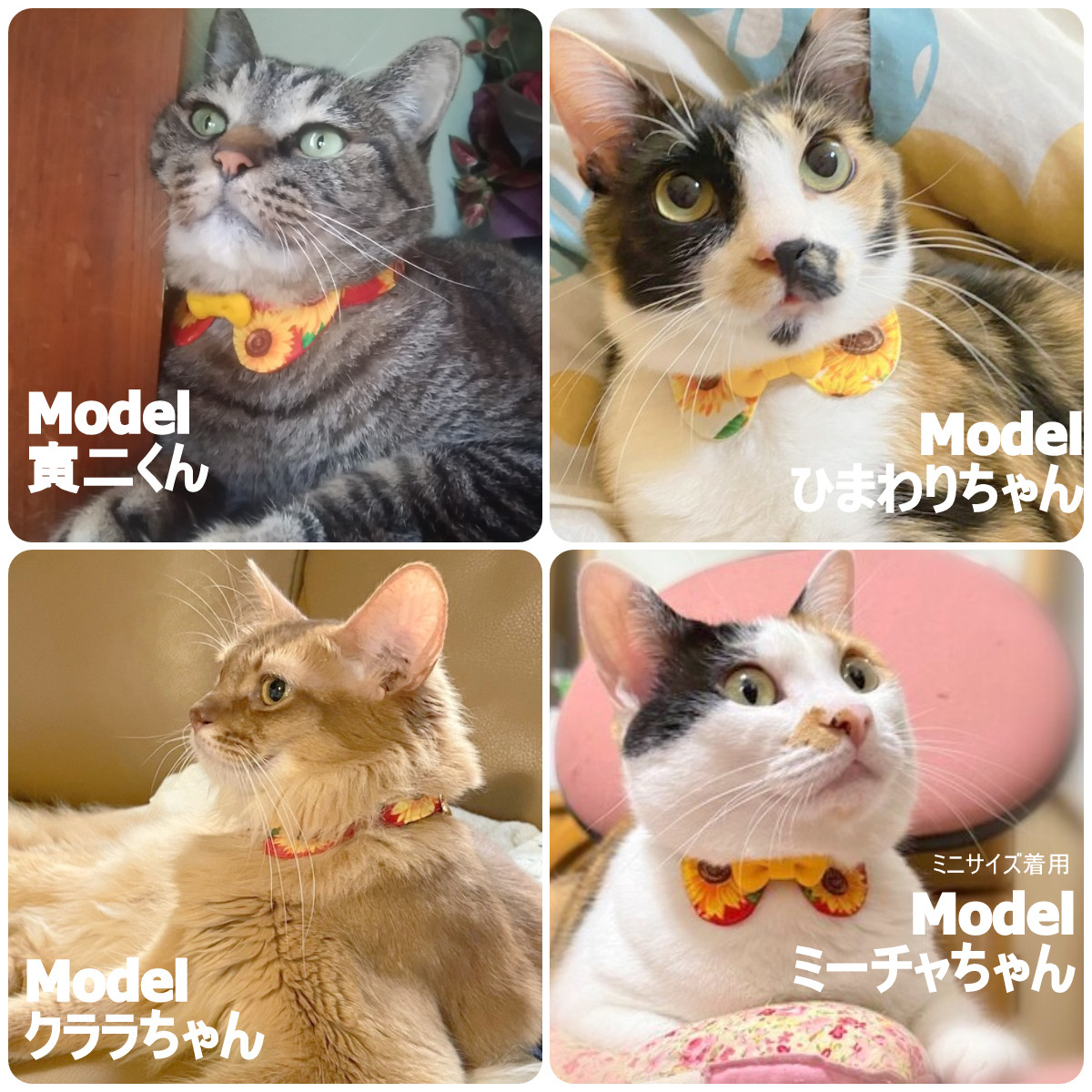 プッチ、ひな祭り(紫①)わんちゃん猫ちゃん用襟つき首輪 rin0311様専用、パープルフラワー(①)わんちゃん猫ちゃん用襟