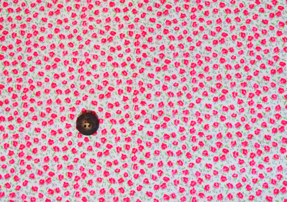 パッチワークカットクロス６枚セット　ピンク～赤系B 6枚目の画像