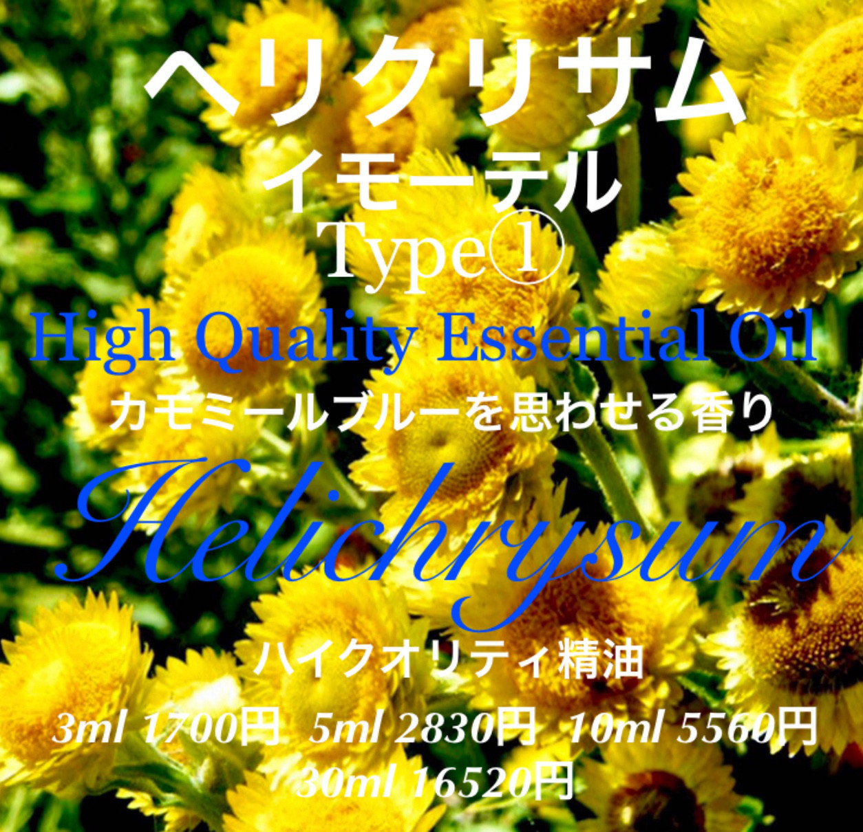 Uncut精油ヘリクリサム（イモーテル）Type①精油10ml