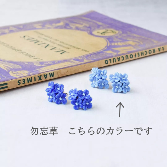 小花のイヤリング　勿忘草　わすれなぐさ 6枚目の画像