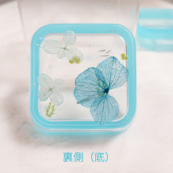 リクエスト【容器】紫陽花とメダカさん 小皿② 6枚目の画像