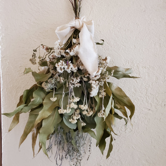 レモンユーカリのスワッグ 在庫整理価格⤵️ スワッグ GREEN ROSE 通販