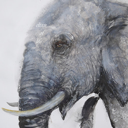 若い象（水彩画用紙24，5cm×35cm、墨） 絵画 ELIXIR OF LIFE