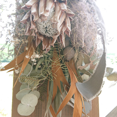 Creema限定】受注製作 キングプロテアのスワッグ∗*ﾟドライフラワー