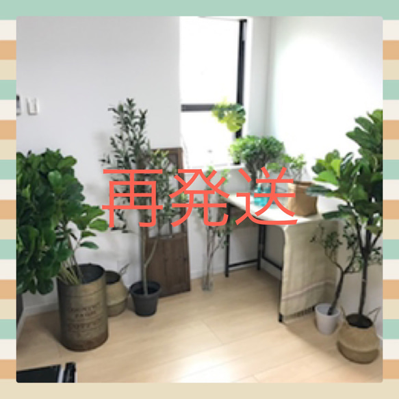 再発送専用 アートフラワー アートグリーンbyとんぼ 通販 14341806