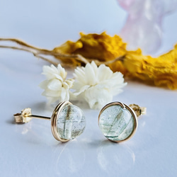 オパライズドウッド ペトリファイドウッド ピアス 希少 14kgf ピアス