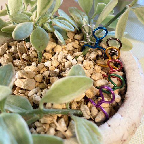 ⑯6色から選べる☆シンプル葉挿しピン50本 多肉植物 ランナーピン