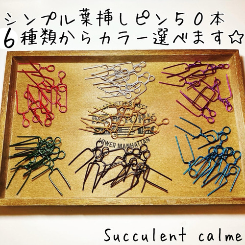 ⑯6色から選べる☆シンプル葉挿しピン50本 多肉植物 ランナーピン