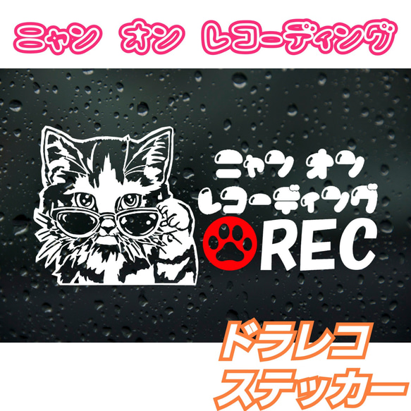 ニャンオン レコーディング　ドライブレコーダーステッカー 1枚目の画像