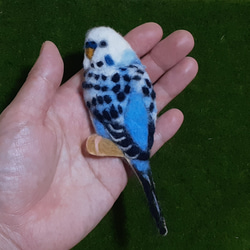 ♥️羊毛フェルト　インコさんブローチ♥️ 2枚目の画像