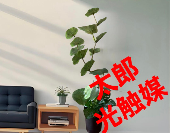 光触媒 人工観葉植物 ウォールグリーン フェイク フラワー シー 光触媒 人工観葉植物 ウォールグリーン フェイク フラワー シー
