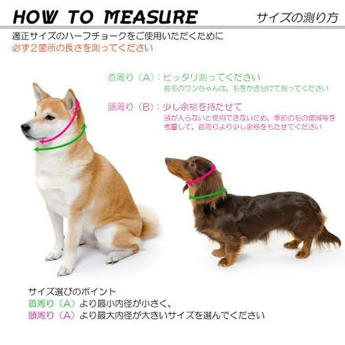 パラコード首輪 ハーフチョーク 大人カラー リード・首輪 edamam 通販