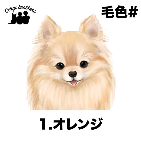 【 ポメラニアン 水彩画風 毛色6色 】　マグカップ　お家用　プレゼント　犬　うちの子　犬グッズ　プレゼント 2枚目の画像