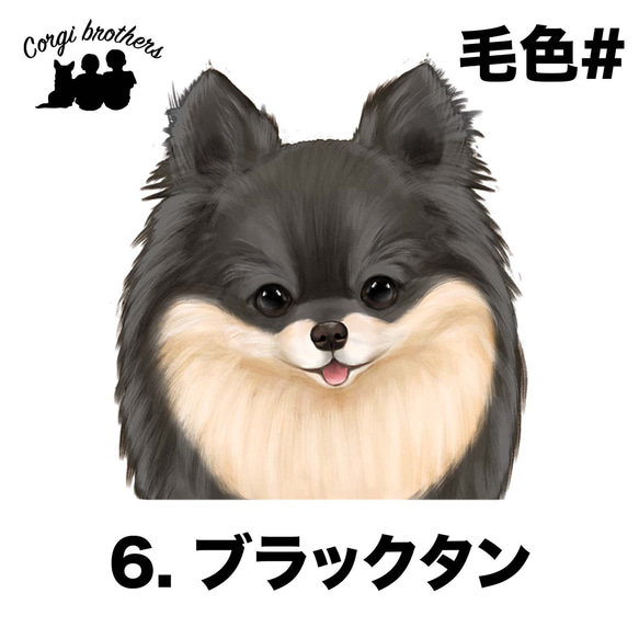 【 ポメラニアン 水彩画風 毛色6色 】　マグカップ　お家用　プレゼント　犬　うちの子　犬グッズ　プレゼント 7枚目の画像