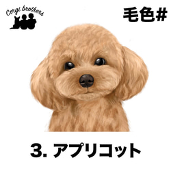 【 トイプードル 水彩画風 毛色8色 】　マグカップ　お家用　プレゼント　犬　うちの子　犬グッズ　プレゼント 4枚目の画像