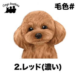 【 トイプードル 水彩画風 毛色8色 】　マグカップ　お家用　プレゼント　犬　うちの子　犬グッズ　プレゼント 3枚目の画像