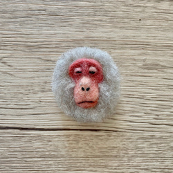 日本猴臉胸針（呵呵~） 第1張的照片