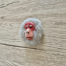 日本猴臉胸針（呵呵~） 第2張的照片