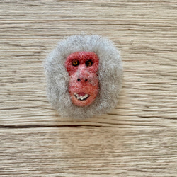 日本猴臉胸針（什麼？！） 第1張的照片