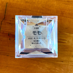 お骨をアクセサリーに！「ねこレミ+（プラス）」大サイズ 11枚目の画像