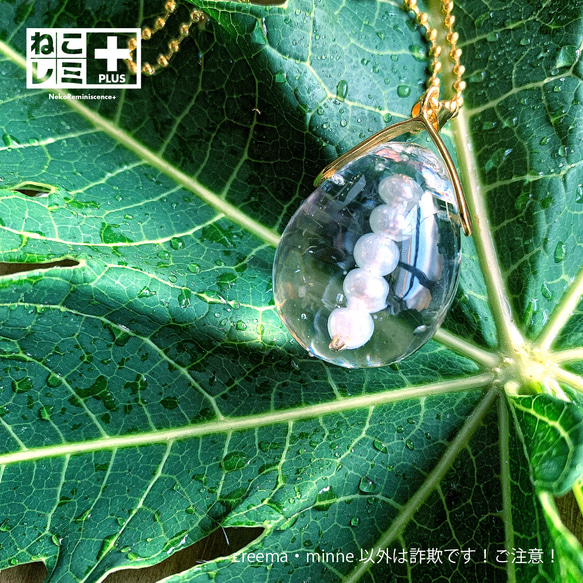 お骨をアクセサリーに！「ねこレミ+（プラス）」大サイズ 2枚目の画像