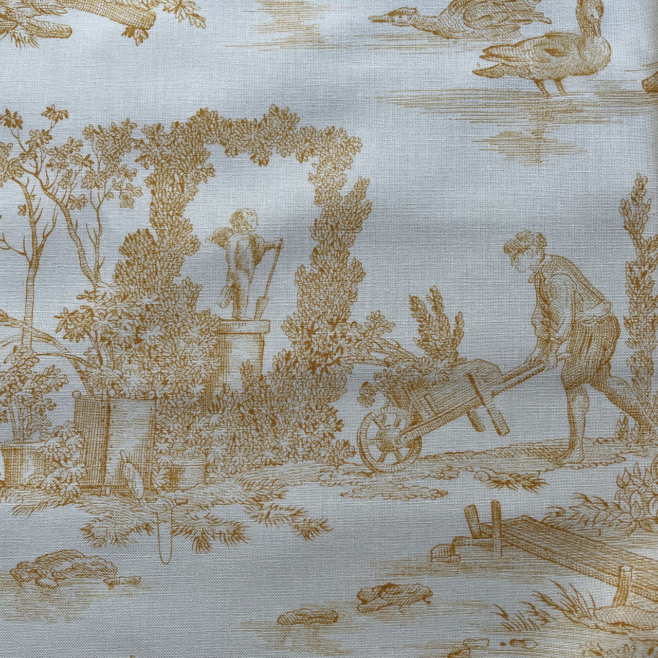Toile de Jouy/トワルドジュイ/Delices des Quatre Saisons/jaune d'Or