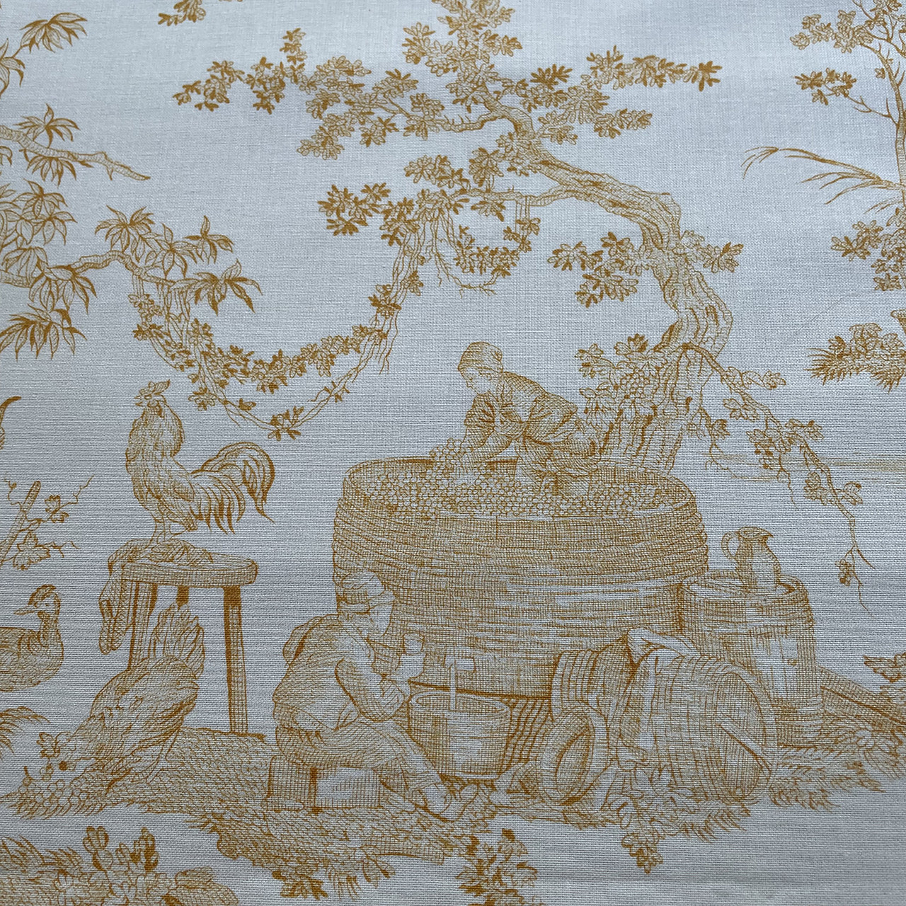 Toile de Jouy/トワルドジュイ/Delices des Quatre Saisons/jaune d'Or