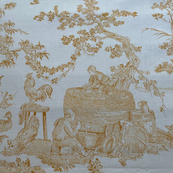 Toile de Jouy/トワルドジュイ/Delices des Quatre Saisons/jaune d'Or 3枚目の画像