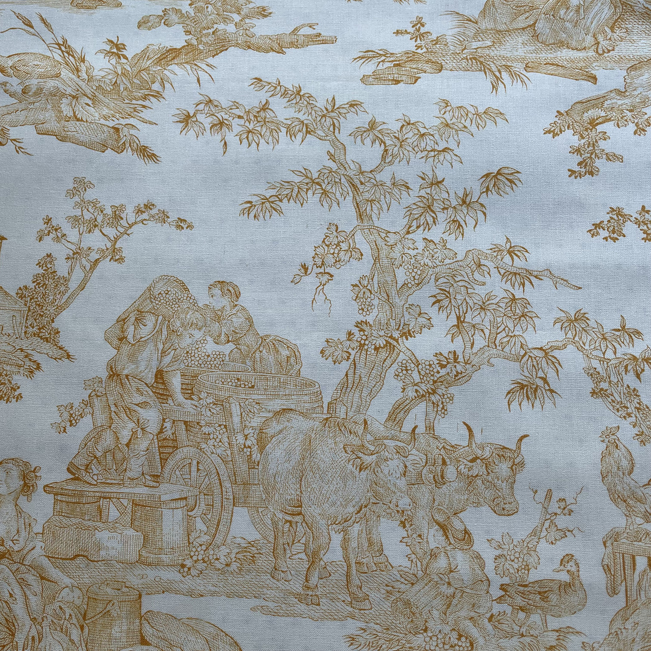 Toile de Jouy/トワルドジュイ/Delices des Quatre Saisons/jaune d'Or