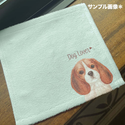 【 チワワ  水彩画風 毛色6色 】　タオルハンカチ　ピンク＆ブルー2枚セット　犬　うちの子　プレゼント 11枚目の画像