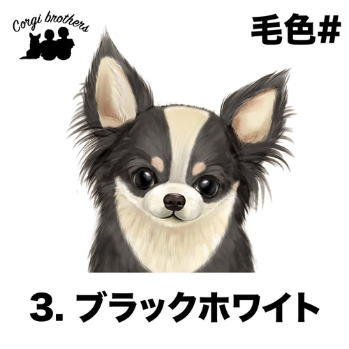 あしべ☆　ハンカチ　チワワ柄　18枚 チワワ 水彩画風 毛色6色 】 タオルハンカチ ピンク＆ブルー2枚