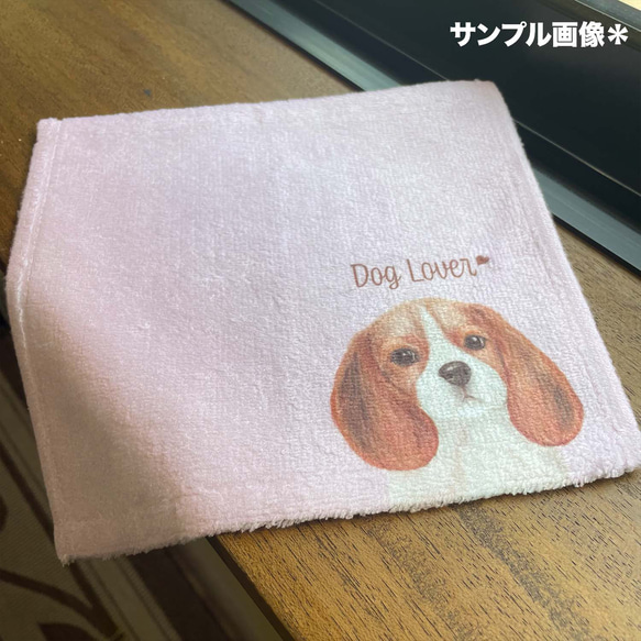 【 チワワ  水彩画風 毛色6色 】　タオルハンカチ　ピンク＆ブルー2枚セット　犬　うちの子　プレゼント 10枚目の画像