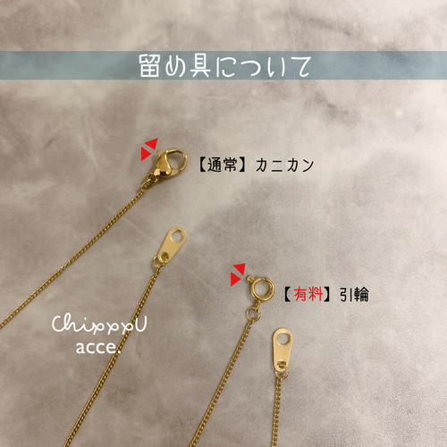 ミニコインチャームブレスレット／サージカルステンレス 金属