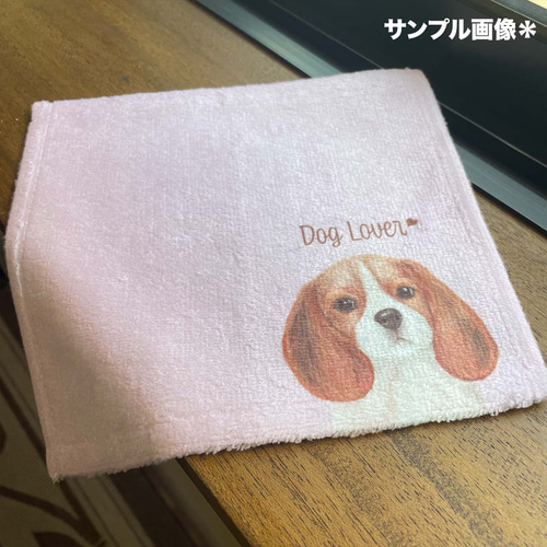 ポメラニアン 水彩画風 毛色6色 】 タオルハンカチ ピンク＆ブルー2枚