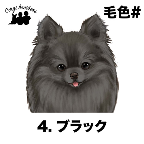 ポメラニアン 水彩画風 毛色6色 】 タオルハンカチ ピンク＆ブルー2枚