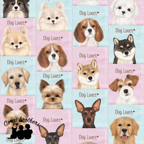柴犬 水彩画風 毛色2色 】 タオルハンカチ ピンク＆ブルー2枚セット 犬
