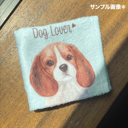 【 柴犬 水彩画風 毛色2色 】　タオルハンカチ　ピンク＆ブルー2枚セット　犬　うちの子　プレゼント 5枚目の画像