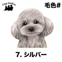 【 トイプードル 水彩画風 毛色8色 】　タオルハンカチ　ピンク＆ブルー2枚セット　犬　うちの子　プレゼント 8枚目の画像