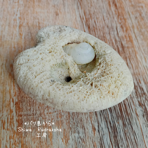 ケオン。.:*♡珊瑚付き　バリ島 入魂儀式ケオン】観賞用☆珊瑚ケオン(2022-A) その他素材 Shiwa