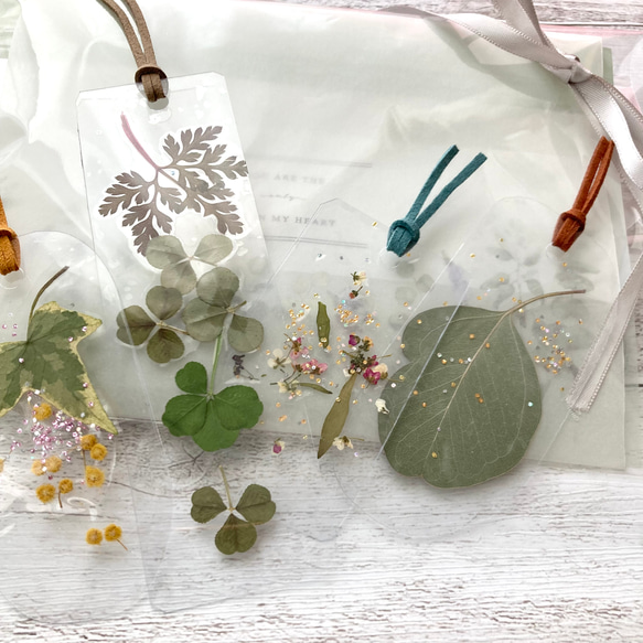 天然草花のしおり4枚セット　素敵な花言葉を持つ草花のしおりセット　植物標本しおり　プチギフト　プレゼント 4枚目の画像